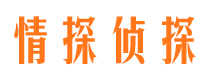 桦甸出轨取证